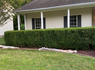 Bush Trimming by Roderick Vaughn for Jessica K. in Franklin, TN
