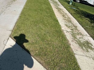 Ashley H.'s Cleanups service result