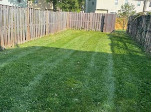 Luzvic B.'s Lawn Mowing service result
