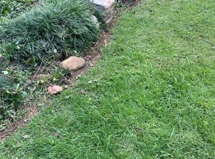 Weeding by Andre Jefferson for Linda T. in Conyers, GA