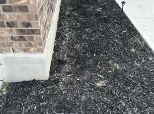 Weeding by Lacy Dixon for Brandon S. in San Antonio, TX
