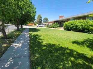 Melissa M.'s Lawn Care service result