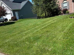 Ajaang D.'s Lawn Care service result