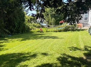William K.'s Lawn Mowing service result