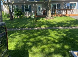 Alvin R.'s Lawn Service service result