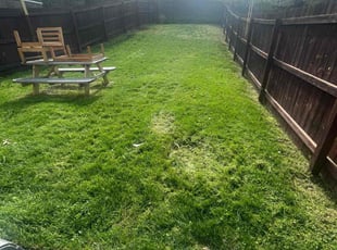 Janet P.'s Lawn Care service result