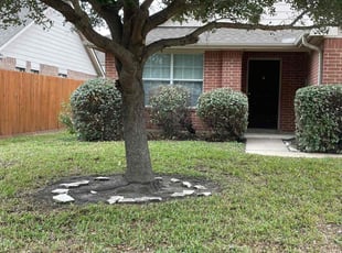 Bush Trimming by Rene Contreras for Cathy R. in Katy, TX