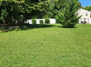 Jenita G.'s Lawn Mowing service result