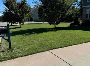 Karen C.'s Lawn Care service result