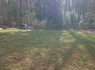 Leaf Removal by Mike Williams for Derek S. in Glen Allen, VA