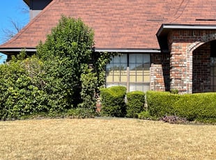 Jim C.'s Bush Trimming service result