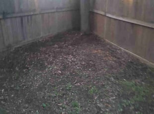 Leaf Removal by Selvin Cruz for Whitney N. in Nashville, TN