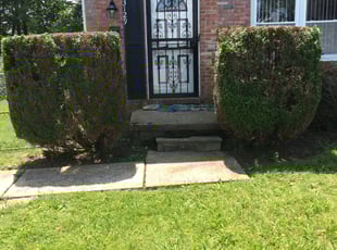 Bush Trimming by Samuel Jordon for Sharon H. in Baltimore, MD