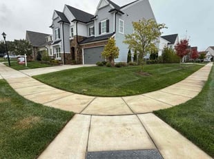 Donna G.'s Grass Cutting service result