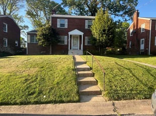 Halimatou D.'s Lawn Mowing Service service result