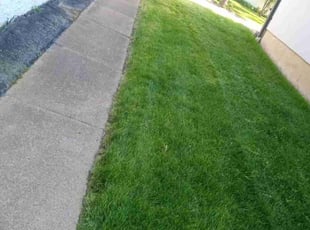 Alan N.'s Lawn Mowing Service service result