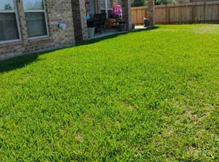 Donald C.'s Lawn Mowing service result