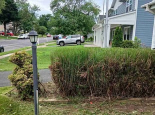Sanya K.'s Bush Trimming service result