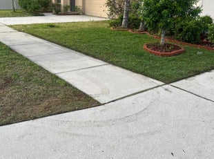 Pat S.'s Lawn Mowing service result