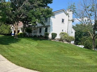 Kimberly S.'s Lawn Service service result