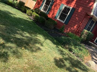 Weeding by Ken Saunders for Ryan D. in Elyria, OH