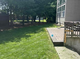 Avis W.'s Lawn Maintenance service result