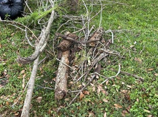 Leaf Removal by JosΓ© Gonzalez for Julia W. in Rosenberg, TX