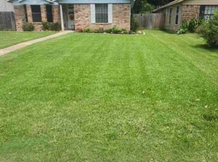Patrick T.'s Yard Cutting service result