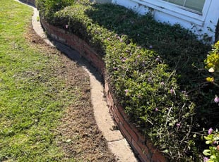 Bush Trimming by Fernando Gomez Rodriguez for Tevis B. in Cypress, CA