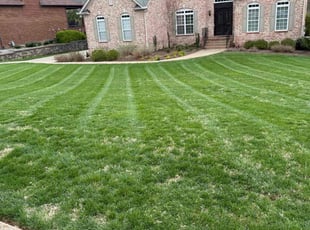 Ryan L.'s Lawn Mowing service result