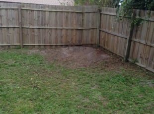 Cleanups by Taylor Fults for Maria V. in Deltona, FL