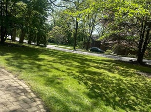 Jonathan S.'s Lawn Mowing Service service result
