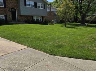 Velma L.'s Lawn Service service result
