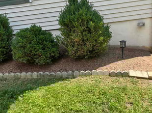 Weeding by Jason Scott for Jonathan E. in Gaithersburg, MD