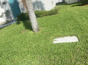James W.'s Lawn Care service result