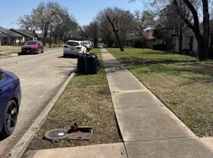 Leaf Removal by Osmin Salvador for Ben S. in Mesquite, TX