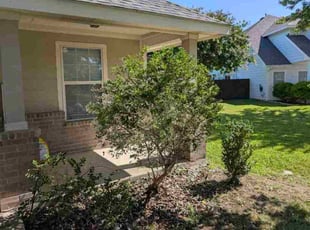 Debi R.'s Bush Trimming service result