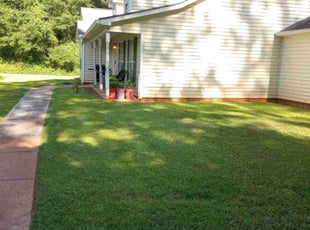 Carleen T.'s Yard Cutting service result