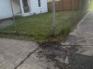 Karyn B.'s Cleanups service result