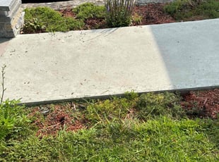 Weeding by Matthew Achey for Jackie P. in East Providence, RI