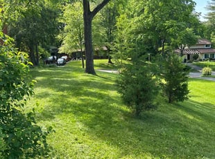 Evan l.'s Lawn Mowing Service service result