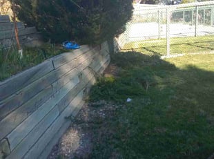 Bush Trimming by Wayne Mead for Grant I. in Colorado Springs, CO