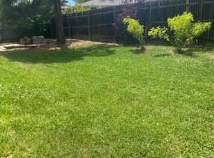Mallory B.'s Lawn Service service result