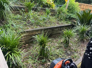 Brian C.'s Flower Bed Weeding service result
