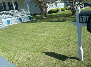 Sally H.'s Lawn Mowing Service service result