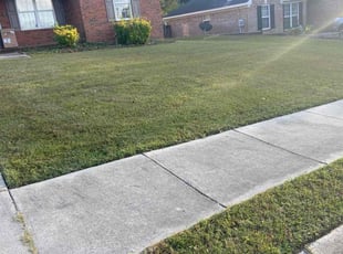Damon T.'s Lawn Service service result