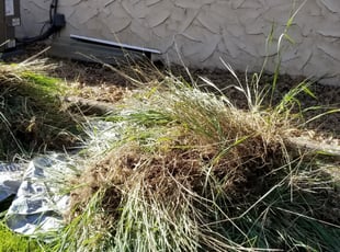 Cleanups by Steven Arnold for Sandy E. in New Brighton, MN