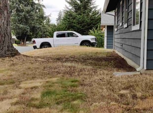 Bush Trimming by Jed Wilson for Chad M. in Redmond, WA