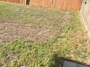 Cleanups by Patrick Stewart for Olayemi S. in Prosper, TX