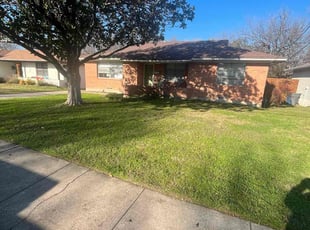 Leaf Removal by Marcos Aguilar for brandon h. in Dallas, TX